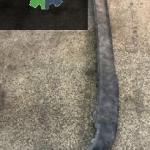 Ford custom arka tampon