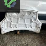 Ford fiesta motor kaputu