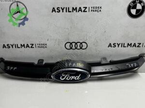 FORD FOCUS ÖN PANJUR