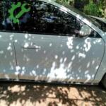 Ford focus sol ön kapı 2021 model