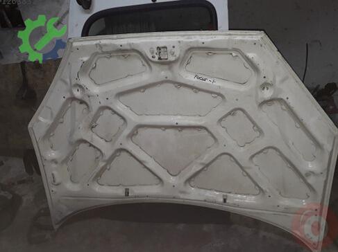 Ford Focus Kaput çıkma parça