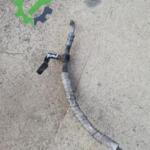 FORD KORNET DİREKSİYON HİDROLİK REKORU