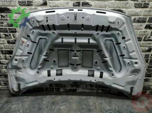 Ford Kuga Kaput çıkma parça
