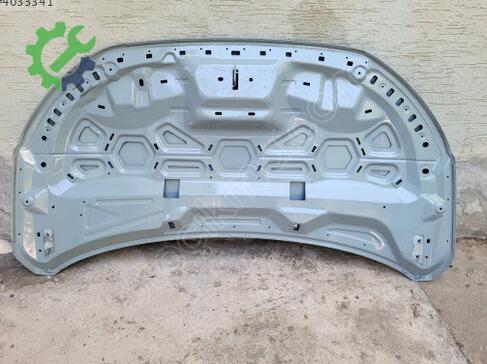 Ford Tourneo Custom Kaput çıkma parça