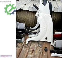 Çıkma Renault Kangoo Çamurluk (ön)