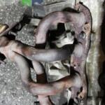 HONDA JAZZ EGZOZ MANİFOLDU