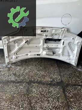 Hyundai Starex Kaput çıkma parça