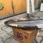 Hyundai bayon sol sis çıkma orijinal