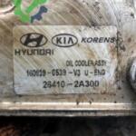 Hyundai Elantra Yağ Soğutucu 264102A300 Sökme Çıkma