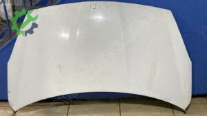 Hyundai i20 Kaput Çıkma