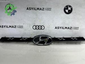 HYUNDAİ İ20 ÖN PANJUR ORJİNAL