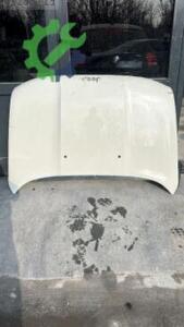 JEEP RENEGADE KAPUT