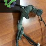 KANGOO 2-3 SOL ÖN KAPI ELEKTRİK TESİSATI 241250826R