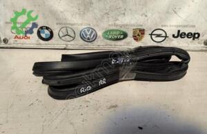 Kia Rio sağ arka kapı çevre fitili