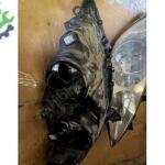 Peugeot 307 Orijinal Çıkma Sol Ön Far