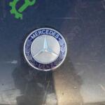 Mercedes Benz ön kaput arması