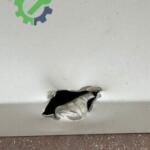 MERCEDES C SERİSİ W205 SAĞ ÖN KAPI ORJİNAL