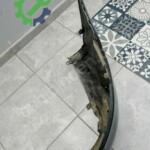 Mercedes w205 cupe amğ arka tampon w 205 cupe çıkma parça