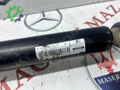 Mercedes-Benz S Serisi Sağ Arka Amortisör A2233209503 çıkma parça