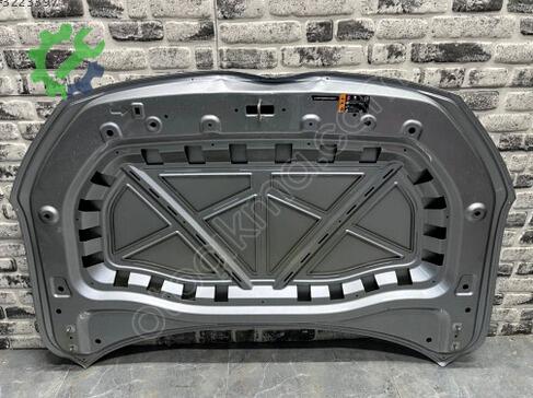 MG ZS Kaput çıkma parça