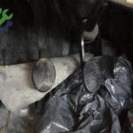 Mini Cooper Pedal Çıkma Parça Mersin