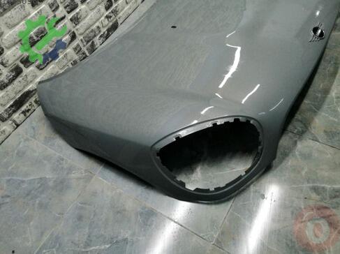 Mini Countryman Kaput çıkma parça