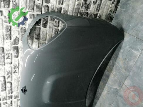 Mini Countryman Kaput çıkma parça
