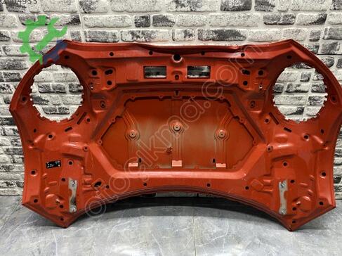 Mini Cooper Kaput çıkma parça