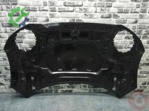 Mini Cooper Kaput çıkma parça