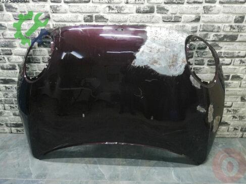 Mini Cooper Kaput çıkma parça
