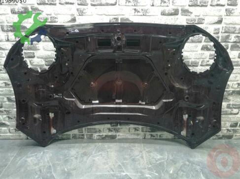 Mini Cooper Kaput çıkma parça