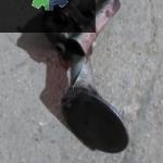 MURAT 131 YAĞ POMPASI