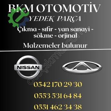 Nissan Juke Cam Krikosu çıkma parça