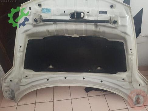Nissan Juke Kaput çıkma parça