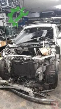 Nissan Juke Kapı çıkma parça