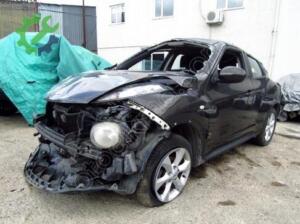 Çıkma Nissan Juke Tavan Lambası
