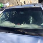 Nissan Navara Ön cam orjinal çıkma