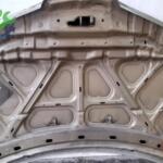 Nissan Primera Kaput Çıkma