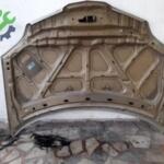 Nissan Primera Kaput Çıkma