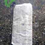 Opel Astra Orijinal Çıkma Airbag (Hava Yastığı)