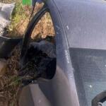 Opel Insignia Tavan Sacı Çıkma