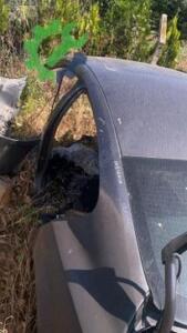 Opel Insignia Orijinal Çıkma Tavan Sacı