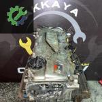 Orijinal Nissan Navara Skystar YD22 Silindir Kapağı Çıkma