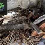 Orijinal PASSAT B6 Çıkma Arka Dingil Torsiyon