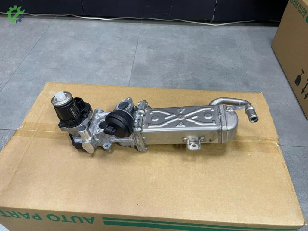 Volkswagen Passat EGR Valfi çıkma parça
