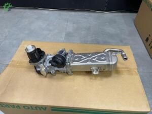 1.6 TDI VW Golf Plus EGR Valfi (2010/2014)