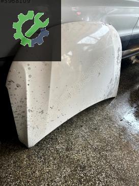 Peugeot 301 Kaput çıkma parça