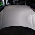 Pejo patnir motor kaput