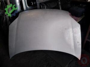 Pejo patnir motor kaput