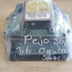 Peugeot 206 Çıkma Beyin